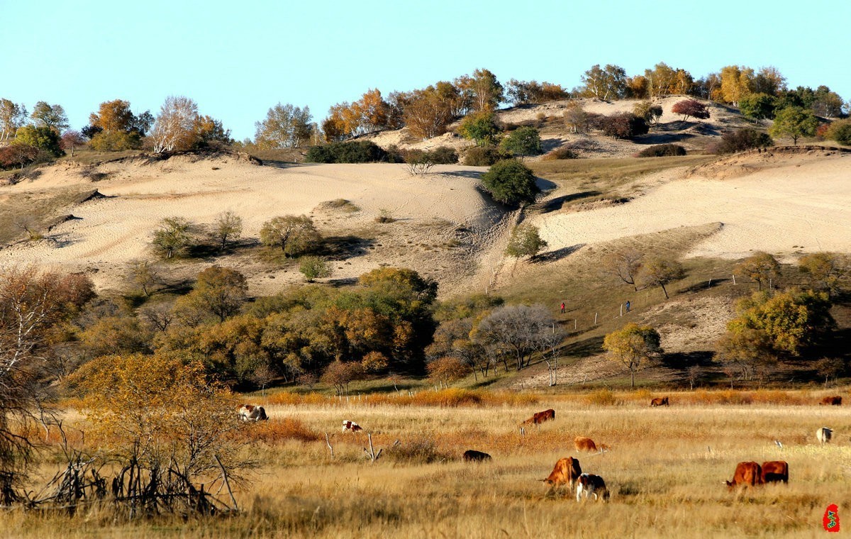 内蒙乌兰布统坝上盘龙大峡谷（二）