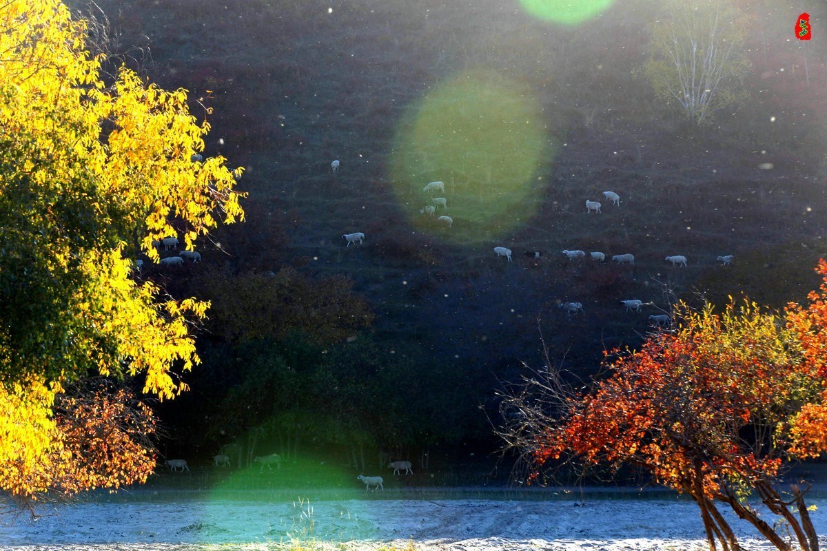 内蒙乌兰布统坝上盘龙大峡谷（二）