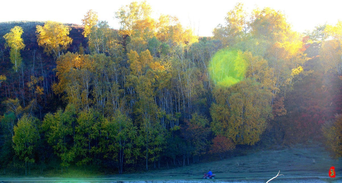 内蒙乌兰布统坝上盘龙大峡谷（二）