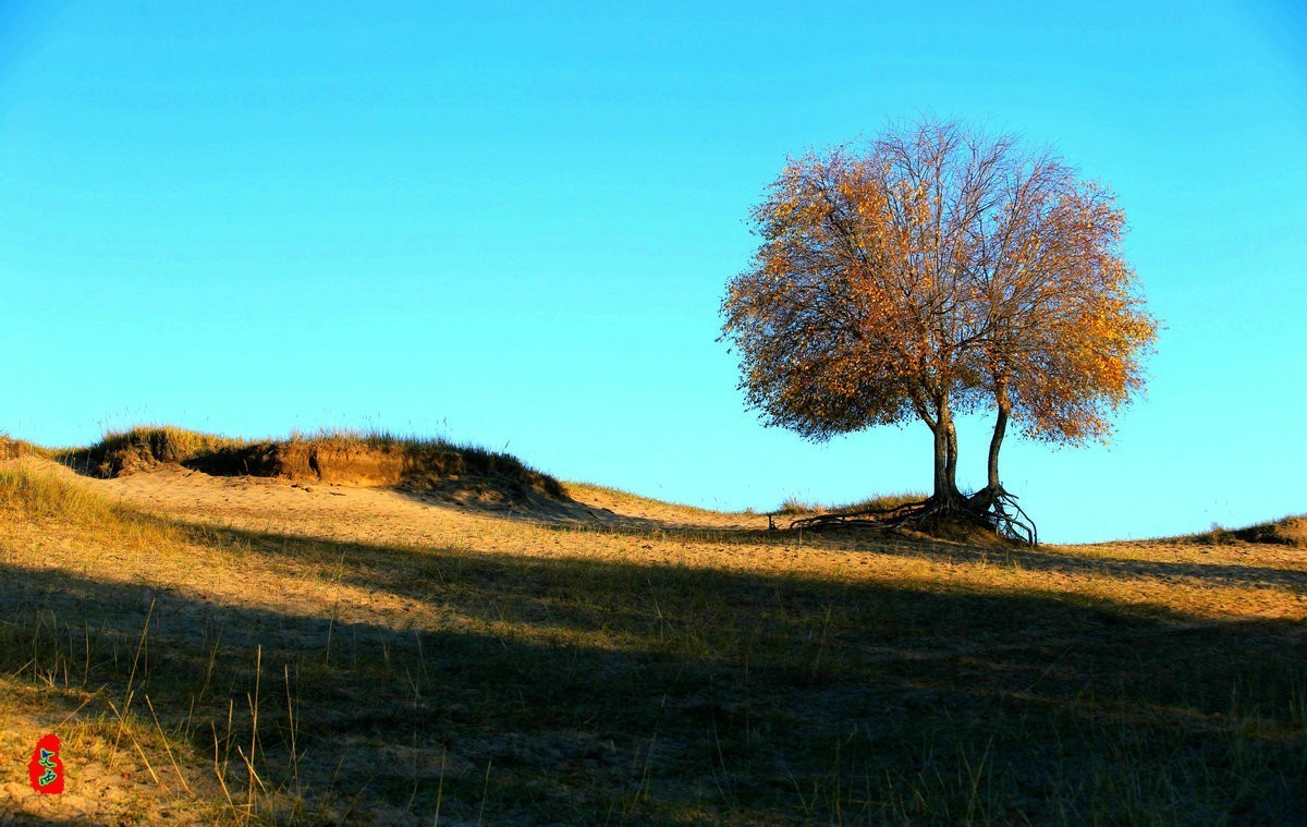 内蒙乌兰布统坝上盘龙大峡谷（二）