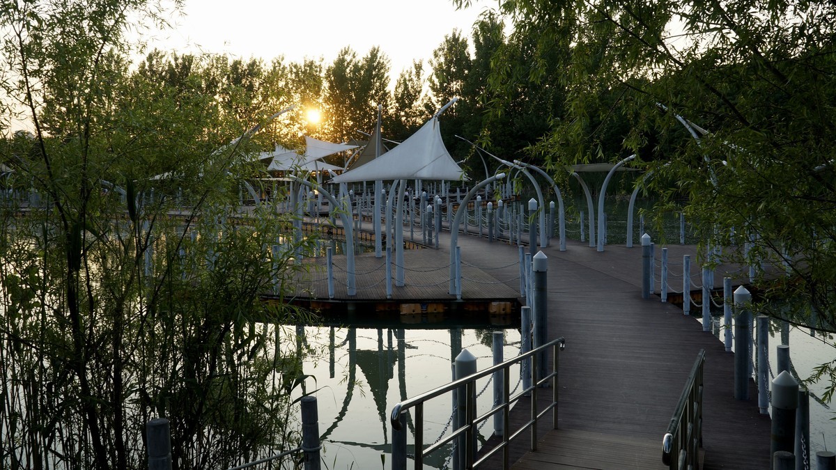 蚌埠龙湖公园东岸区（二）