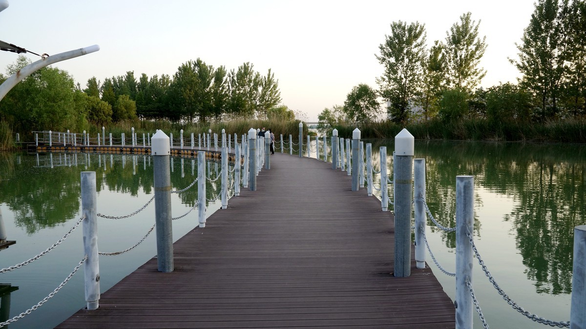 蚌埠龙湖公园东岸区（二）