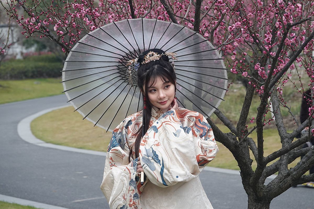 梅花开时迎新春-中关村在线摄影论坛