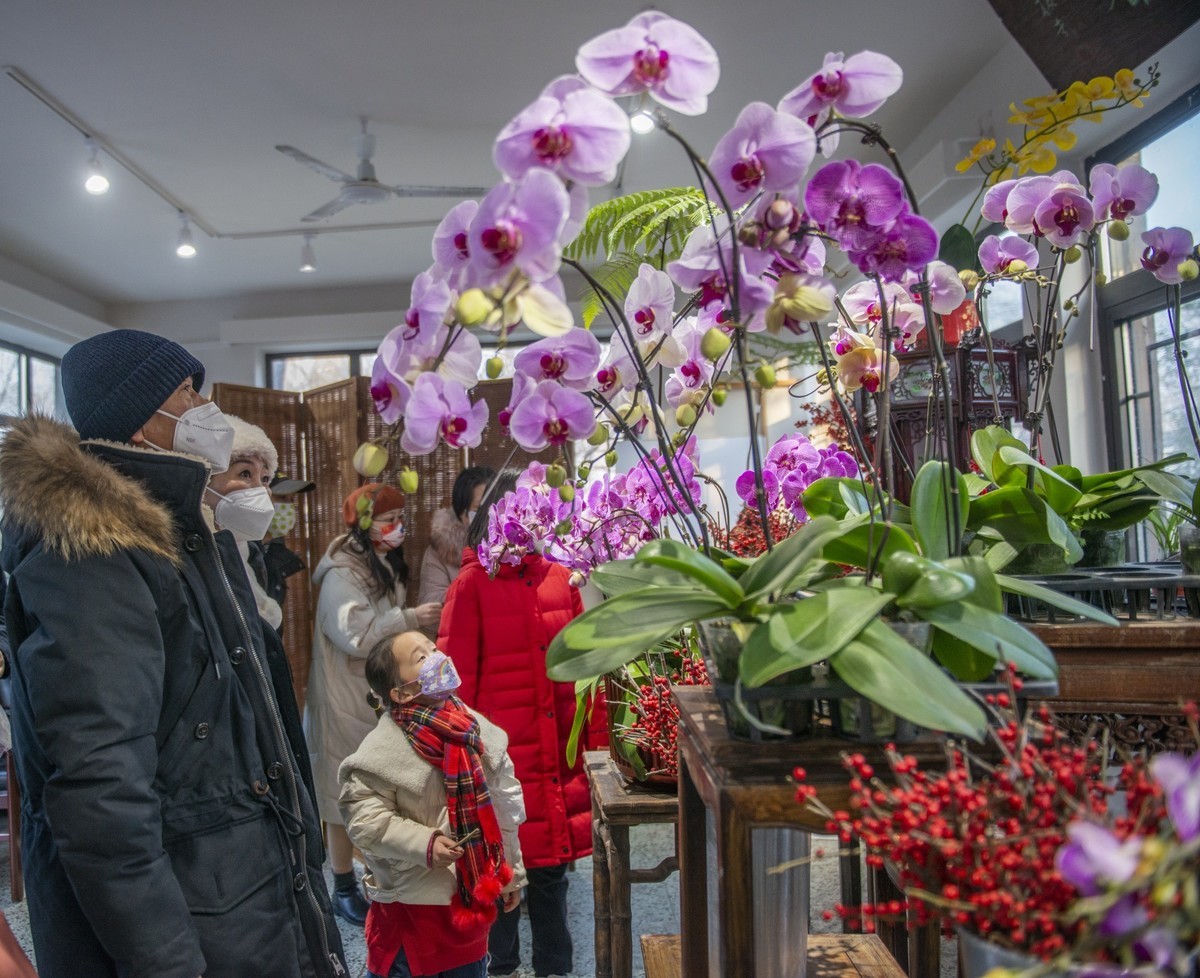 #2023不一样的春节#——水上公园新春嘉年华