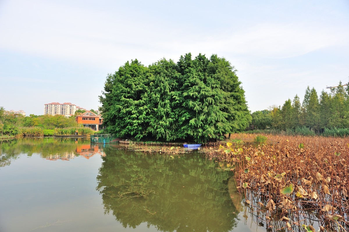 长兴岛湿地公园