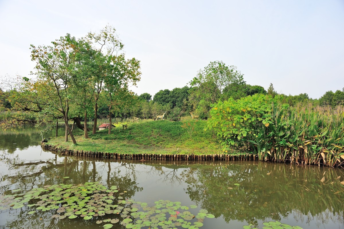 长兴岛湿地公园