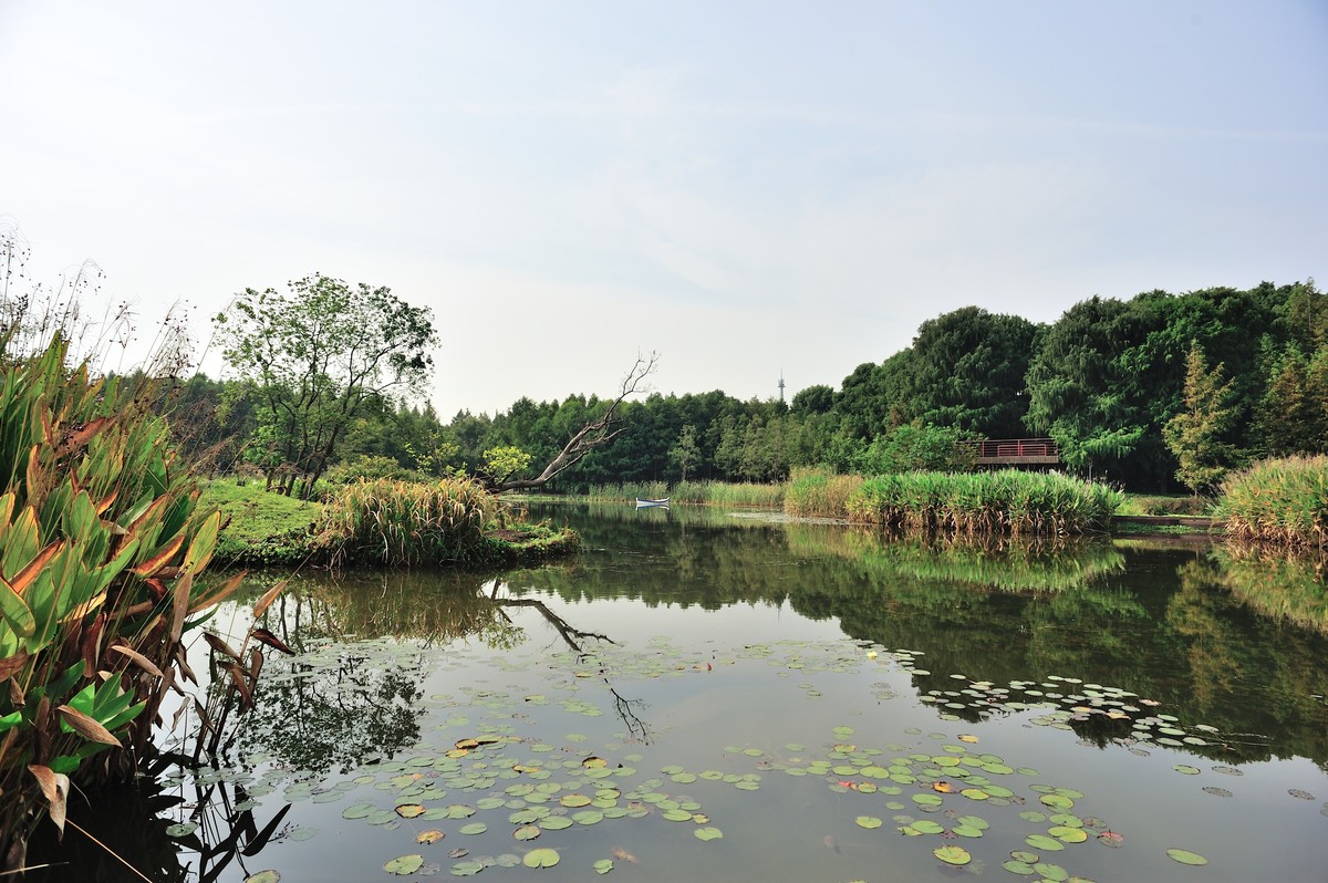 长兴岛湿地公园