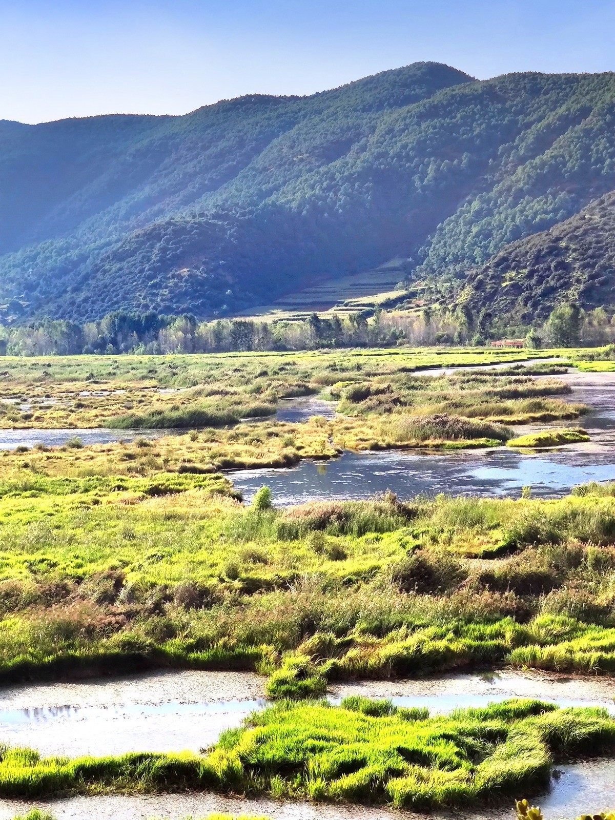俯瞰泸沽湖草海续集9p