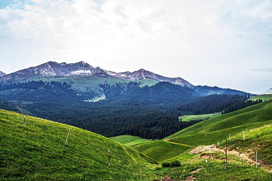 新疆行游--喀拉峻草原【15】