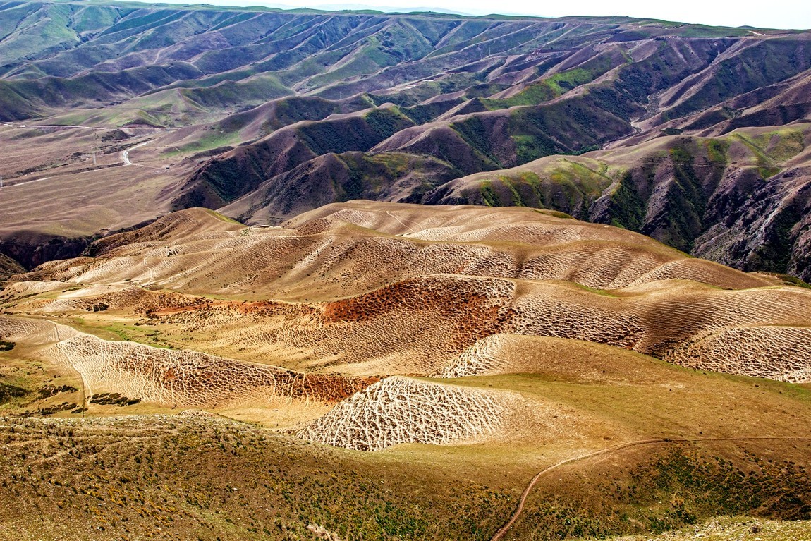 新疆行游--喀拉峻草原【15】