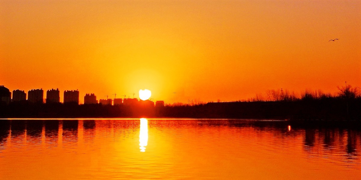 早晨遛弯随手拍（手机版）