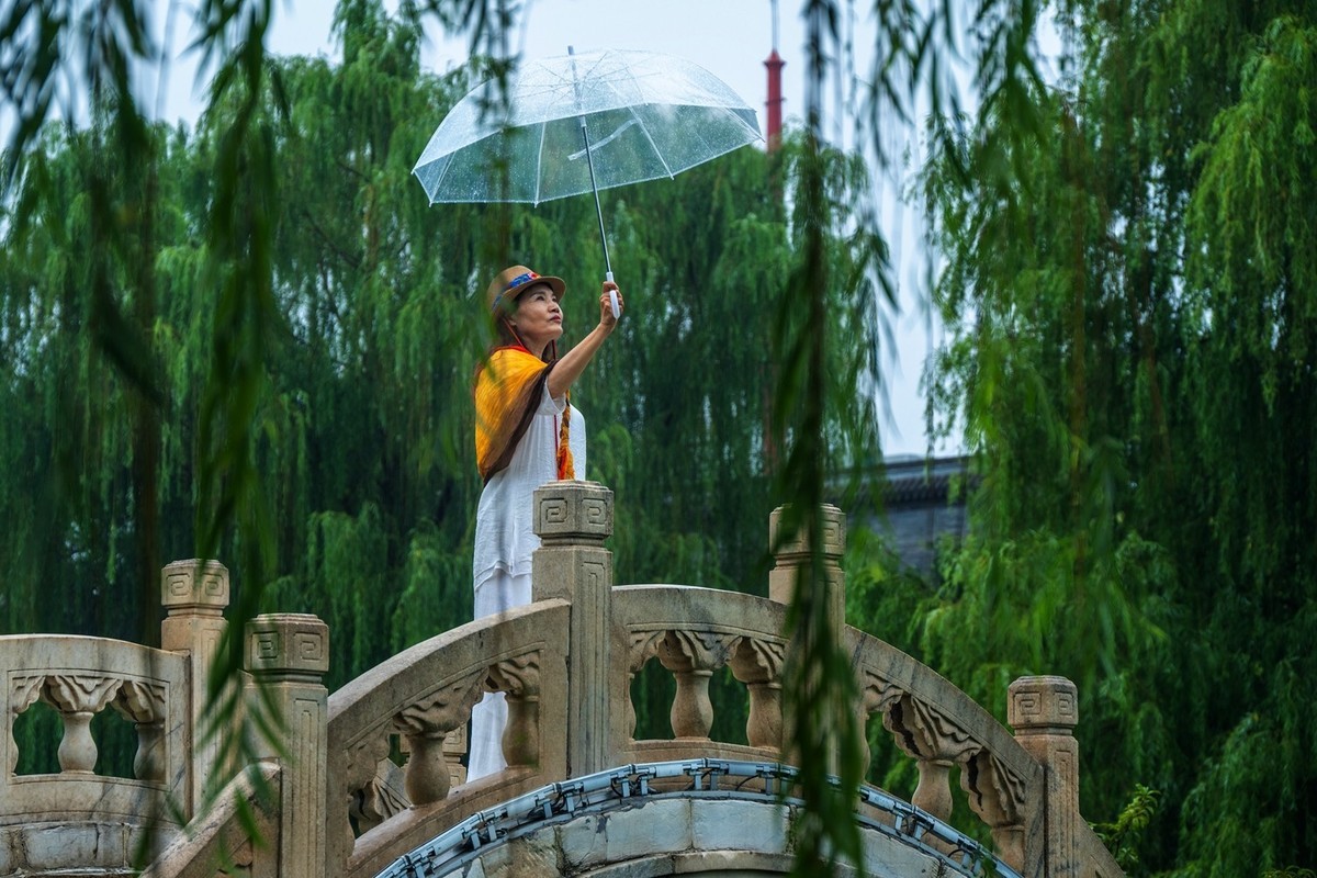 荷花飘香系列图片(11)雨后观荷(下)一女闹荷塘