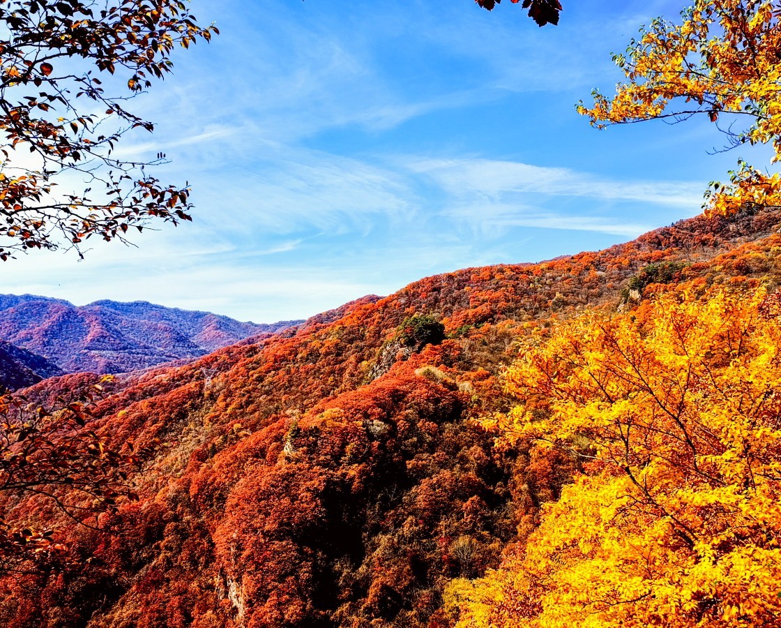 外出随拍（续215）.