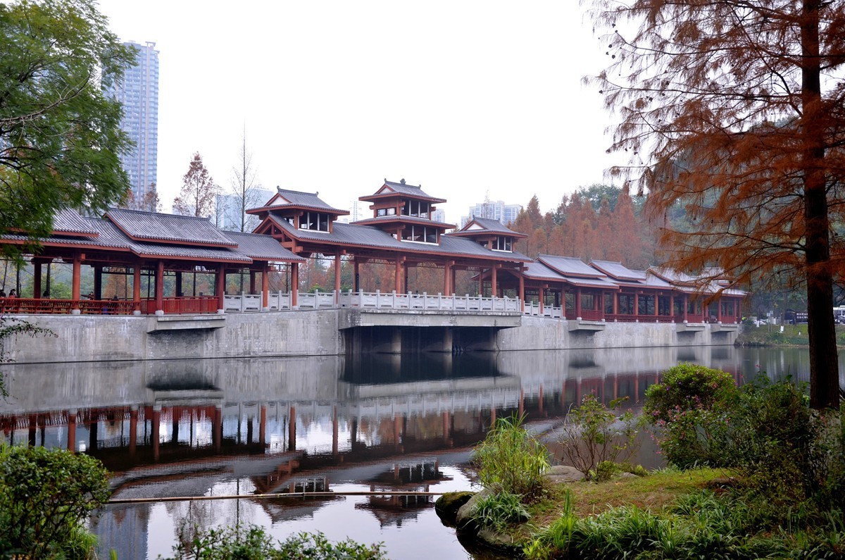 冬季彩云湖湿地公园(五)