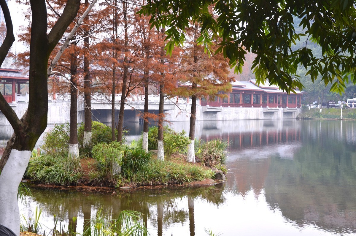 冬季彩云湖湿地公园(五)