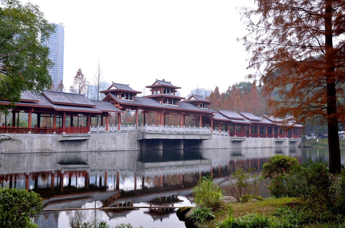 冬季彩云湖湿地公园(五)