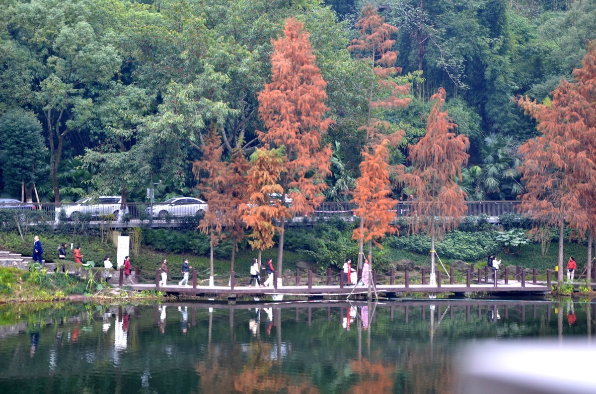 冬季彩云湖湿地公园(五)