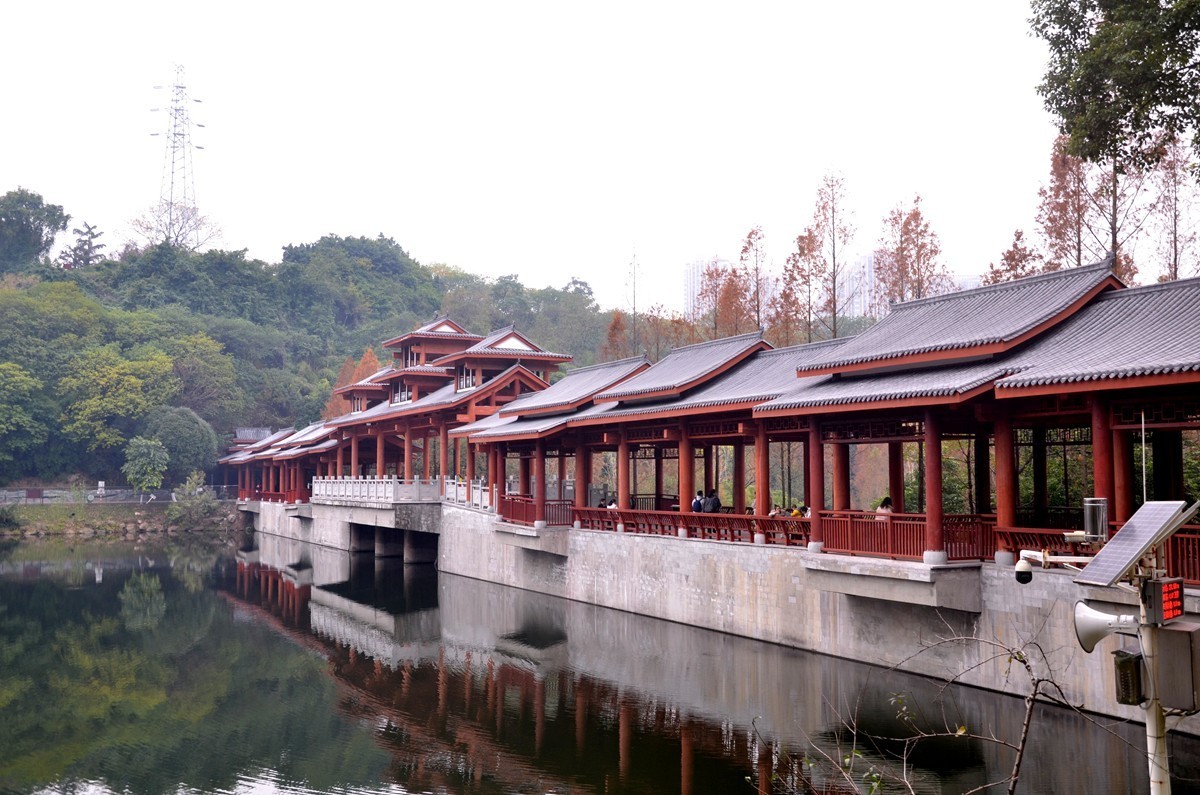 冬季彩云湖湿地公园(五)