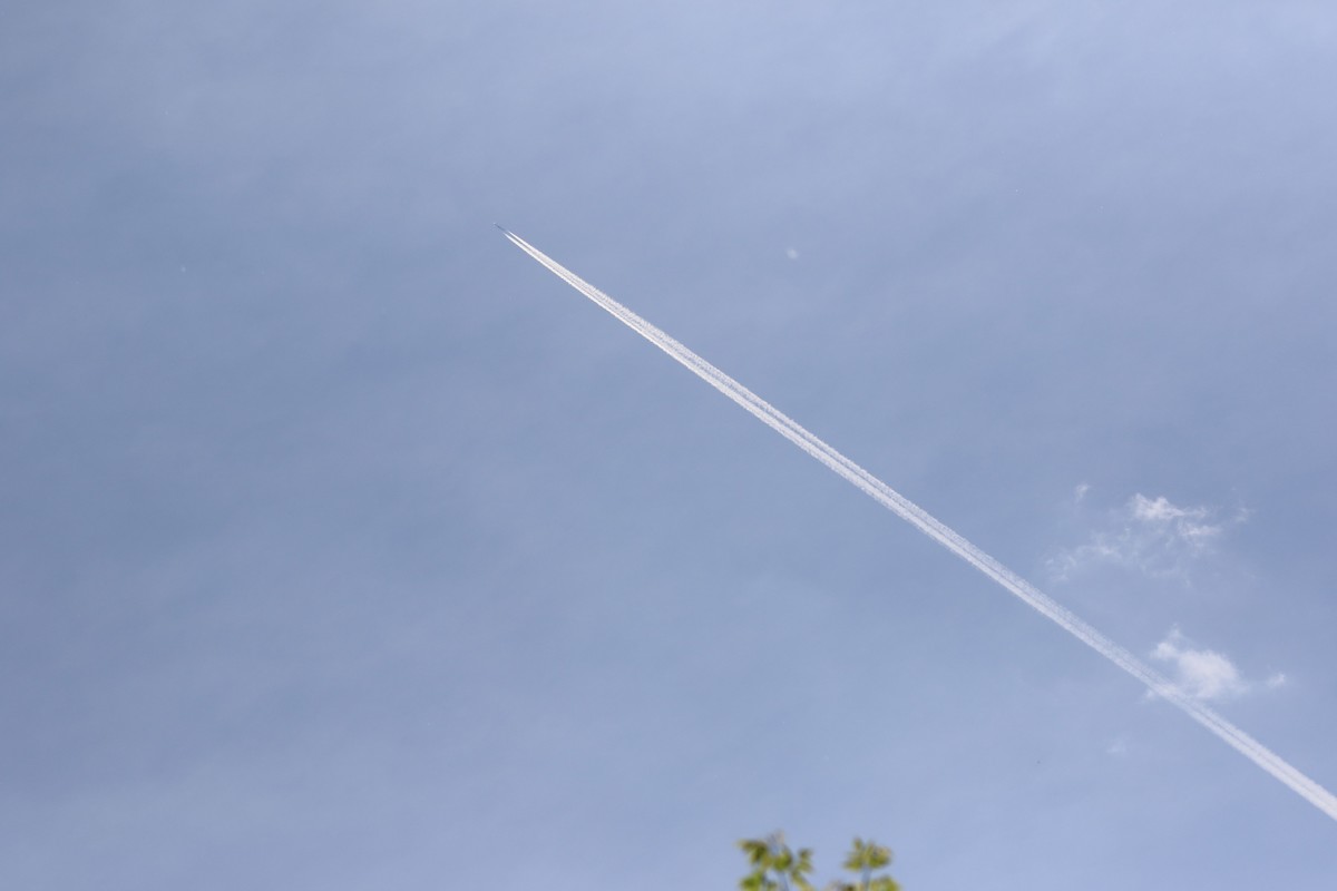 空中雄鹰