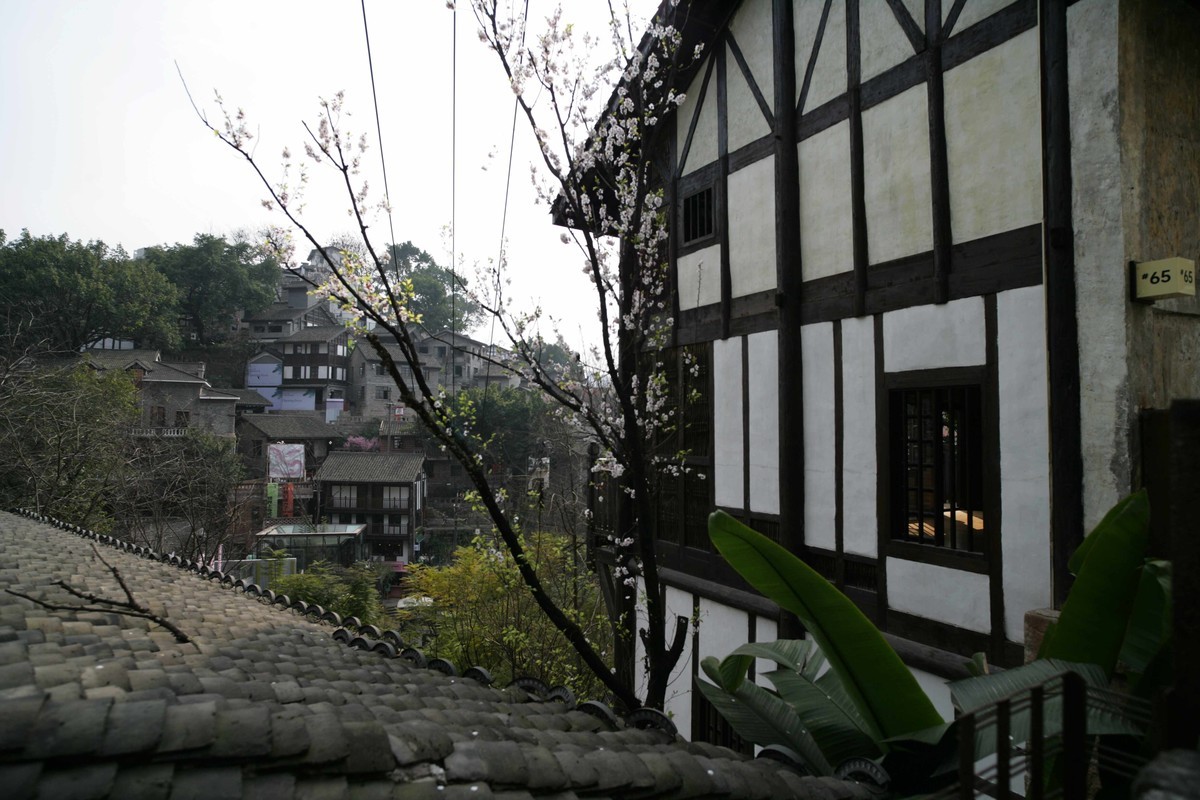 周末下浩老街扫街