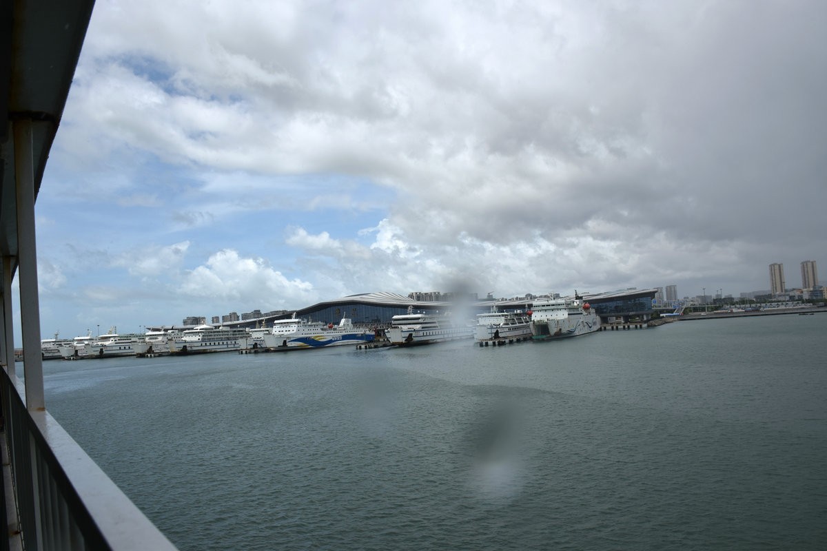 2024夏 海南环岛行（173）雷州白斩狗