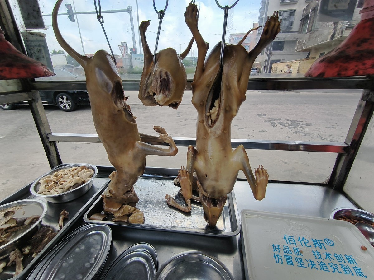 2024夏 海南环岛行（173）雷州白斩狗