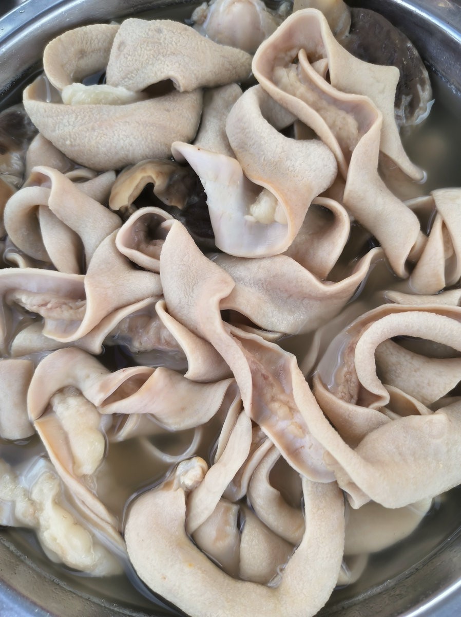 2024夏 海南环岛行（173）雷州白斩狗