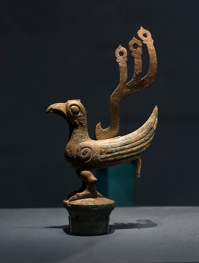 观星空体育平台堆展览，震撼