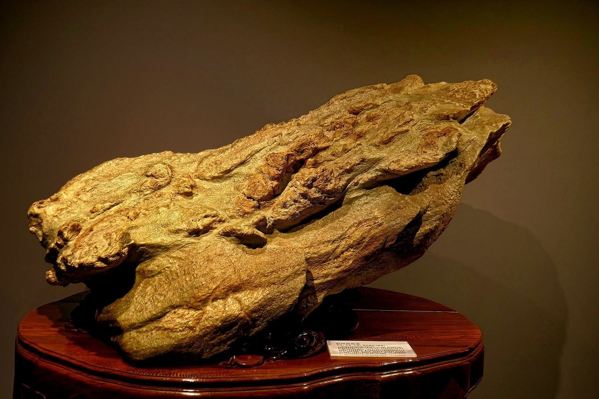 中华奇石馆---恭贺黄河两岸出任版主