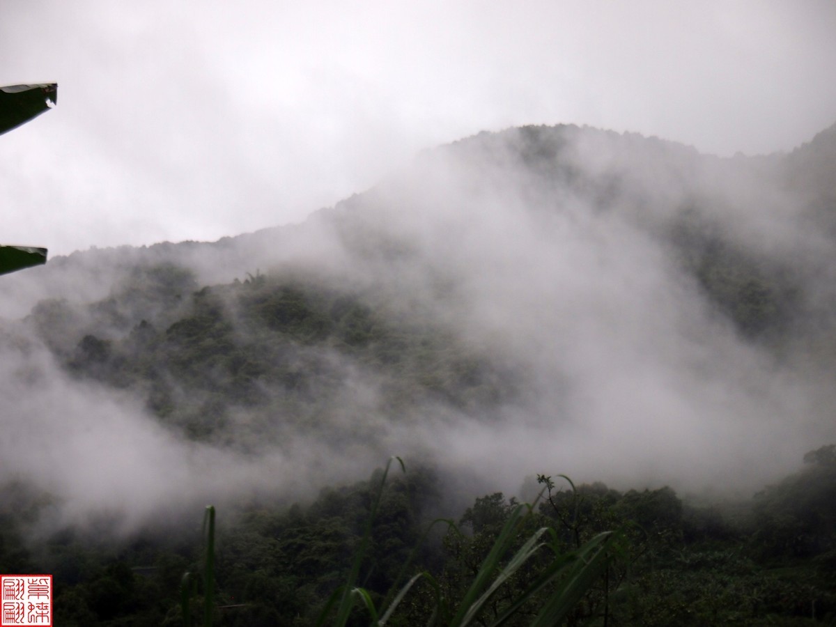 2024.6.27墨脱路拍（15）