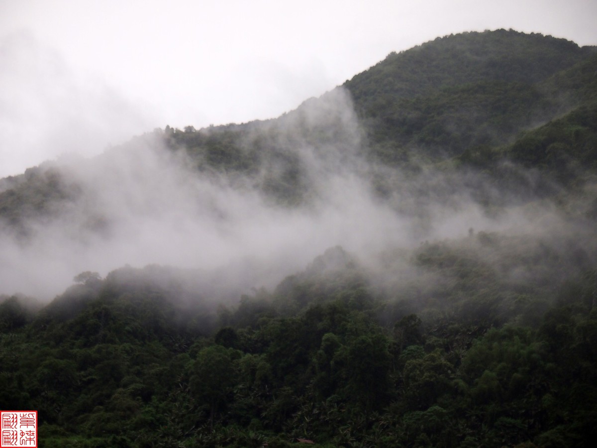 2024.6.27墨脱路拍（15）