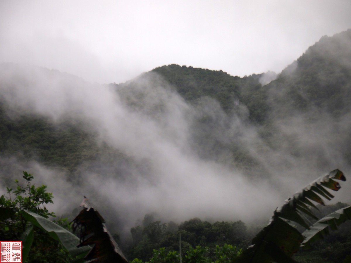 2024.6.27墨脱路拍（15）