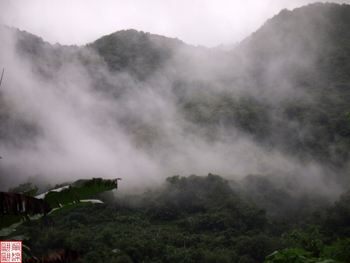 2024.6.27墨脱路拍（15）