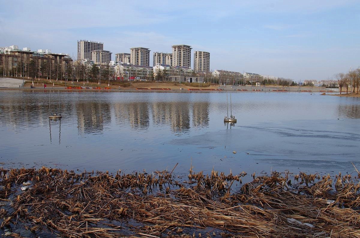 寒冬过后春将来