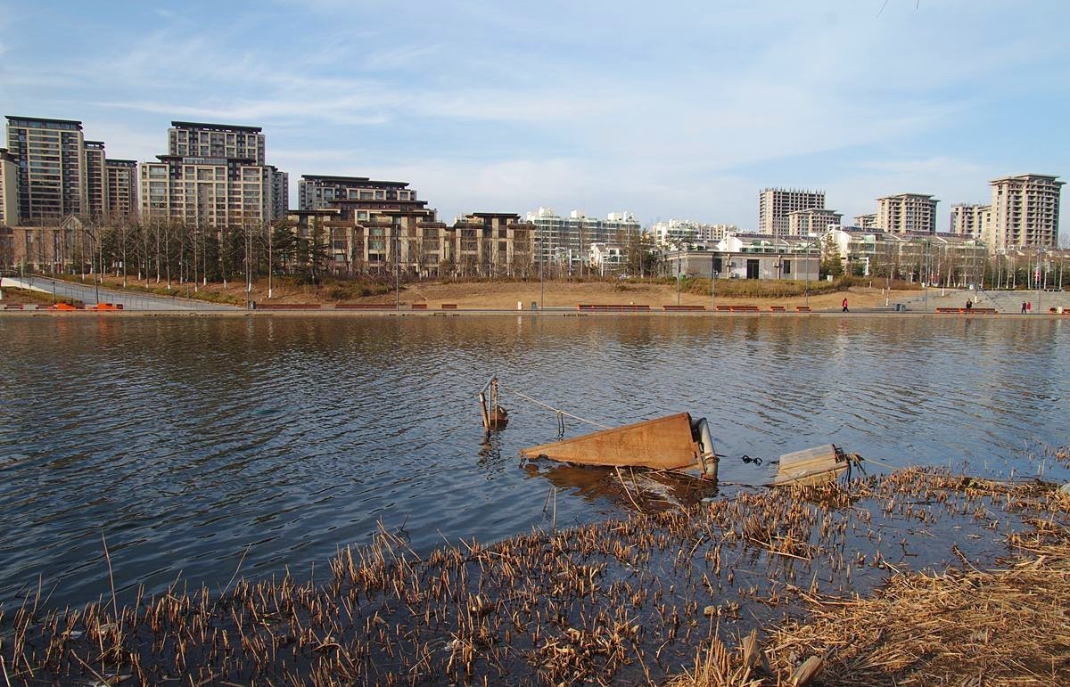 寒冬过后春将来