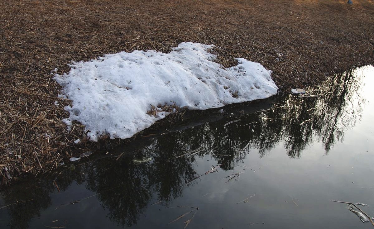 寒冬过后春将来