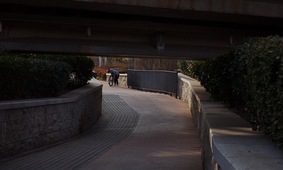 寒冬过后春将来