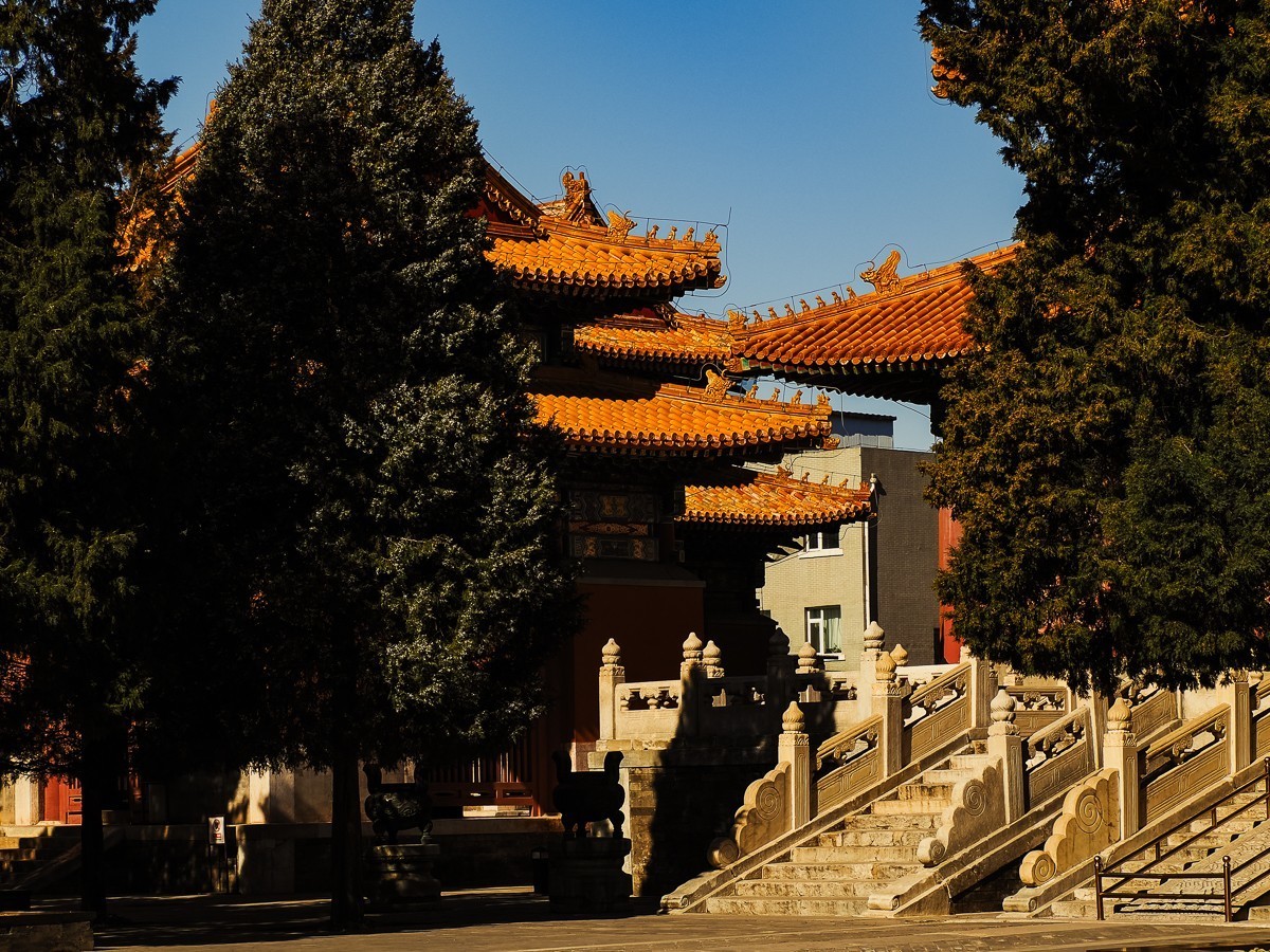 Citywalk（历代帝王庙-广济寺-西什库教堂）