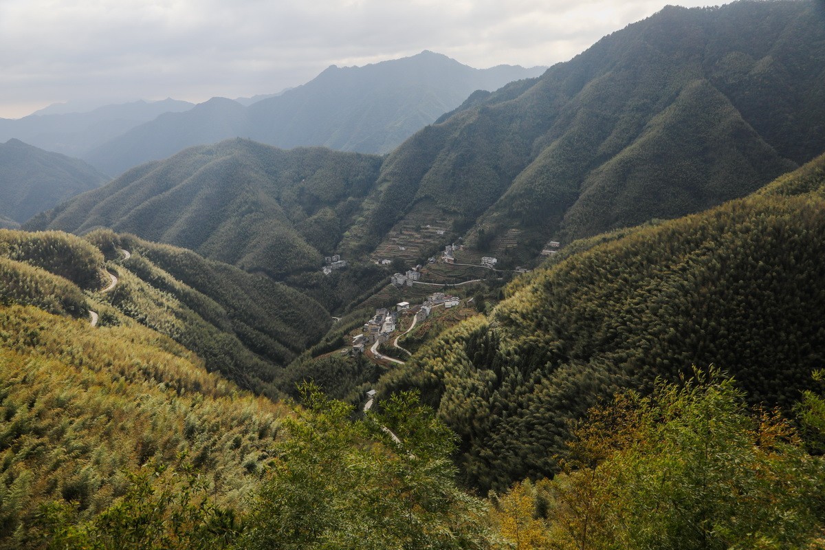 浙皖天路2-------三片叶子，长垓岭，金饭碗观景台