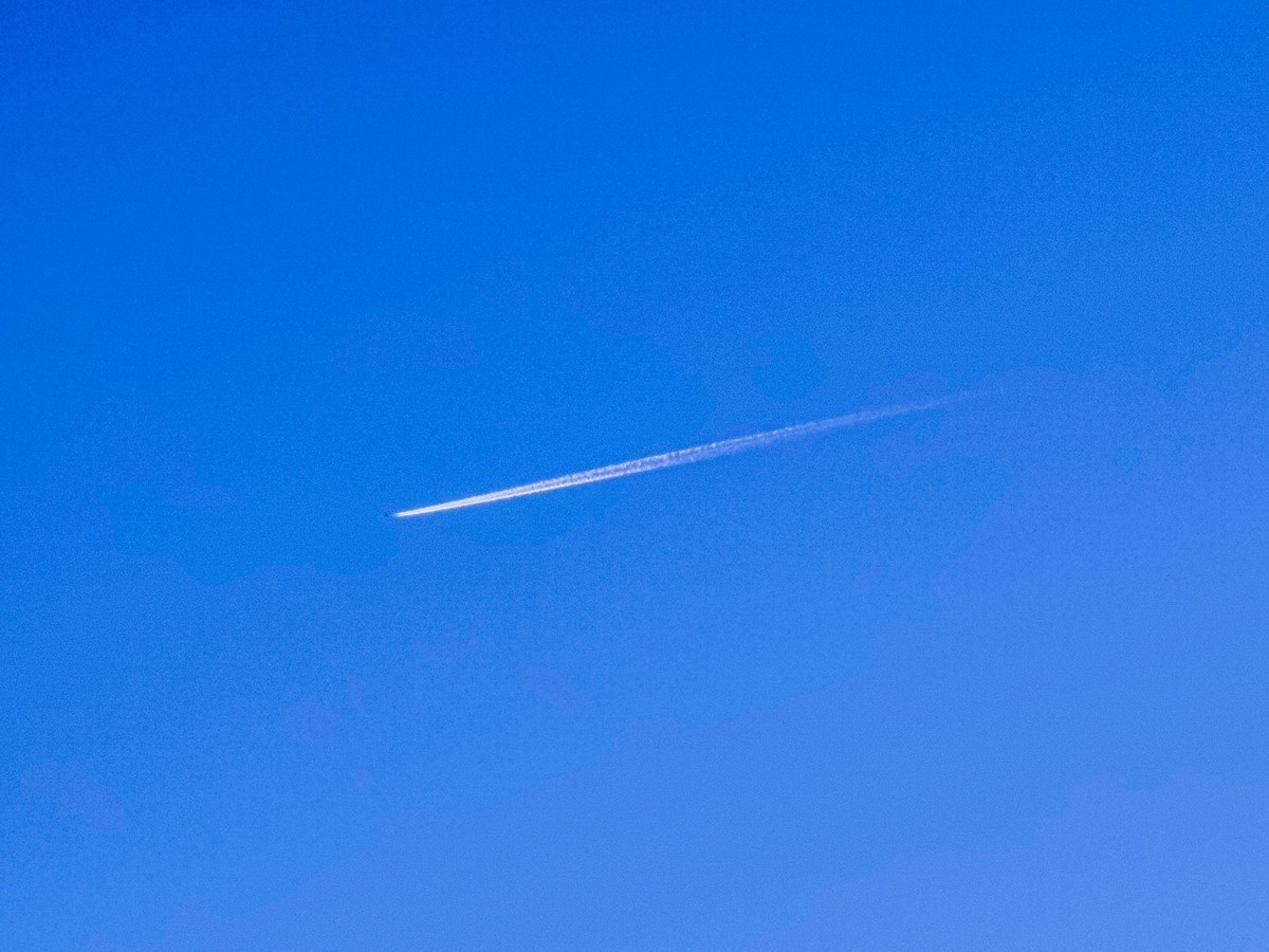 观人自“飘”游