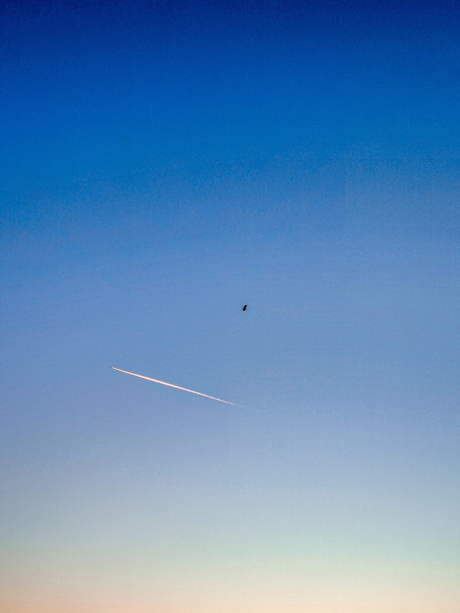 观人自“飘”游