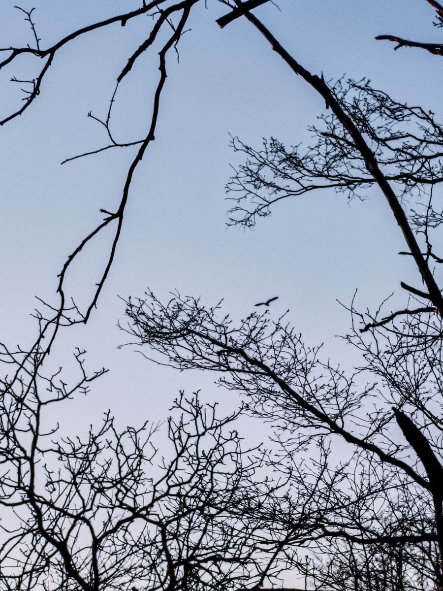 观人自“飘”游