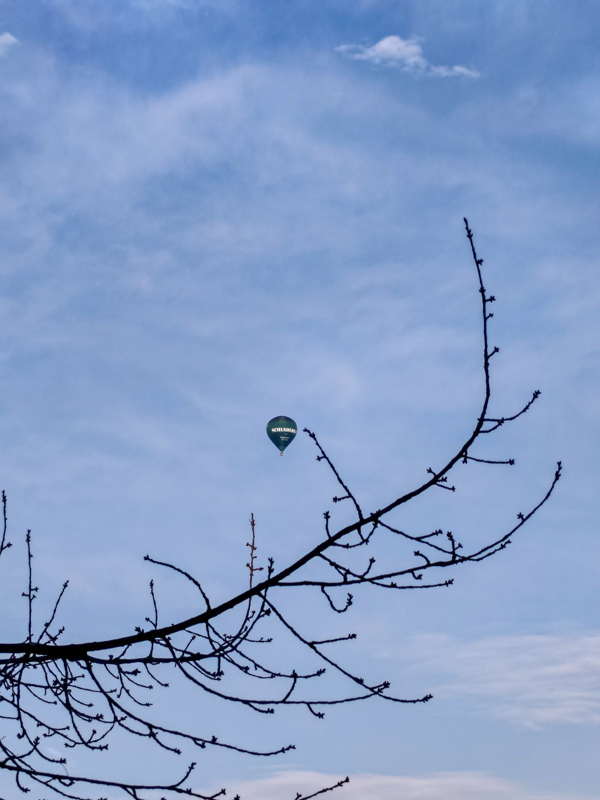 观人自“飘”游