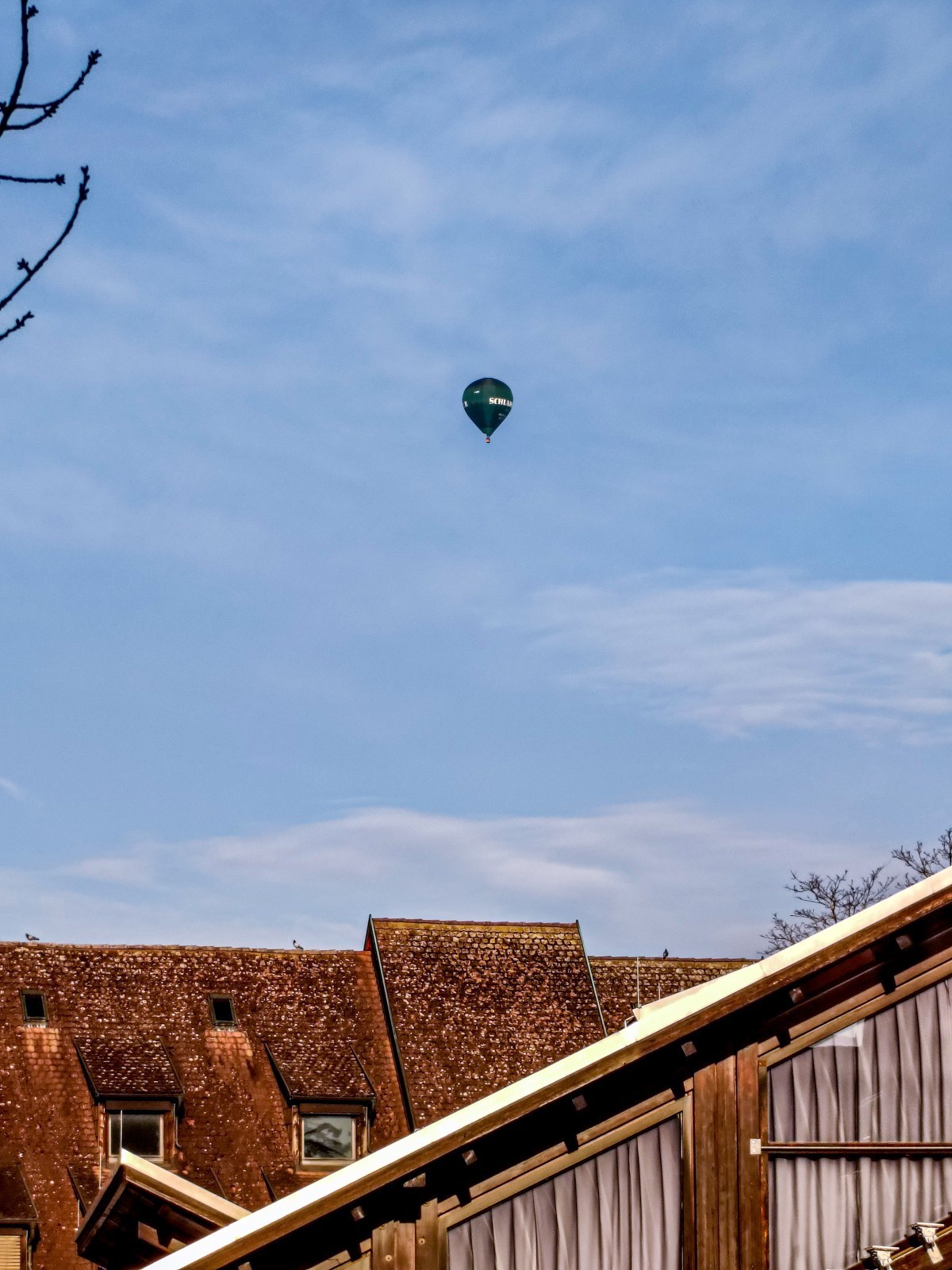 观人自“飘”游