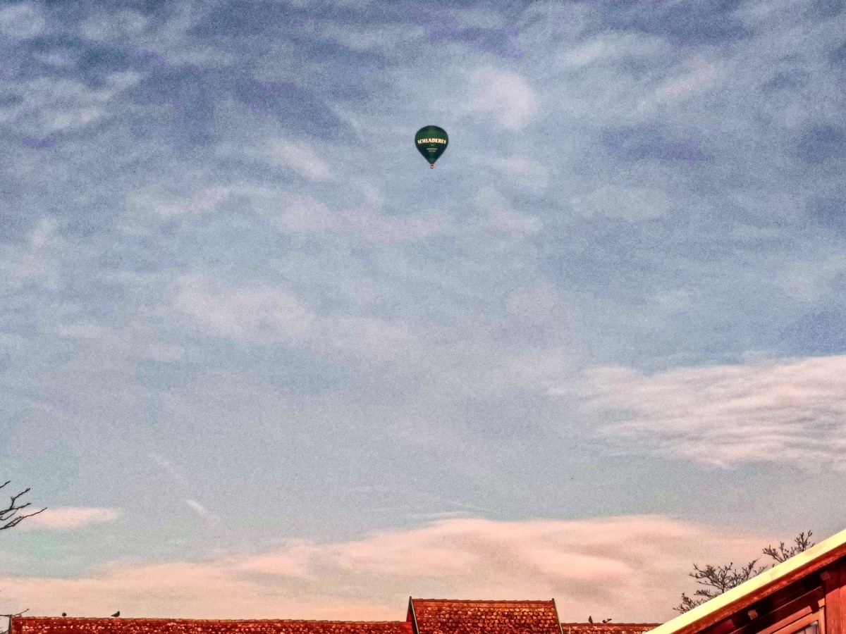 观人自“飘”游