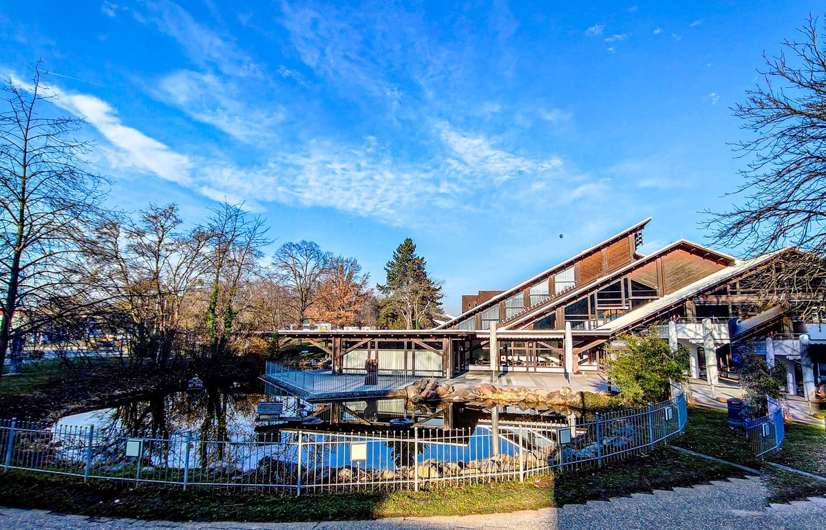 观人自“飘”游