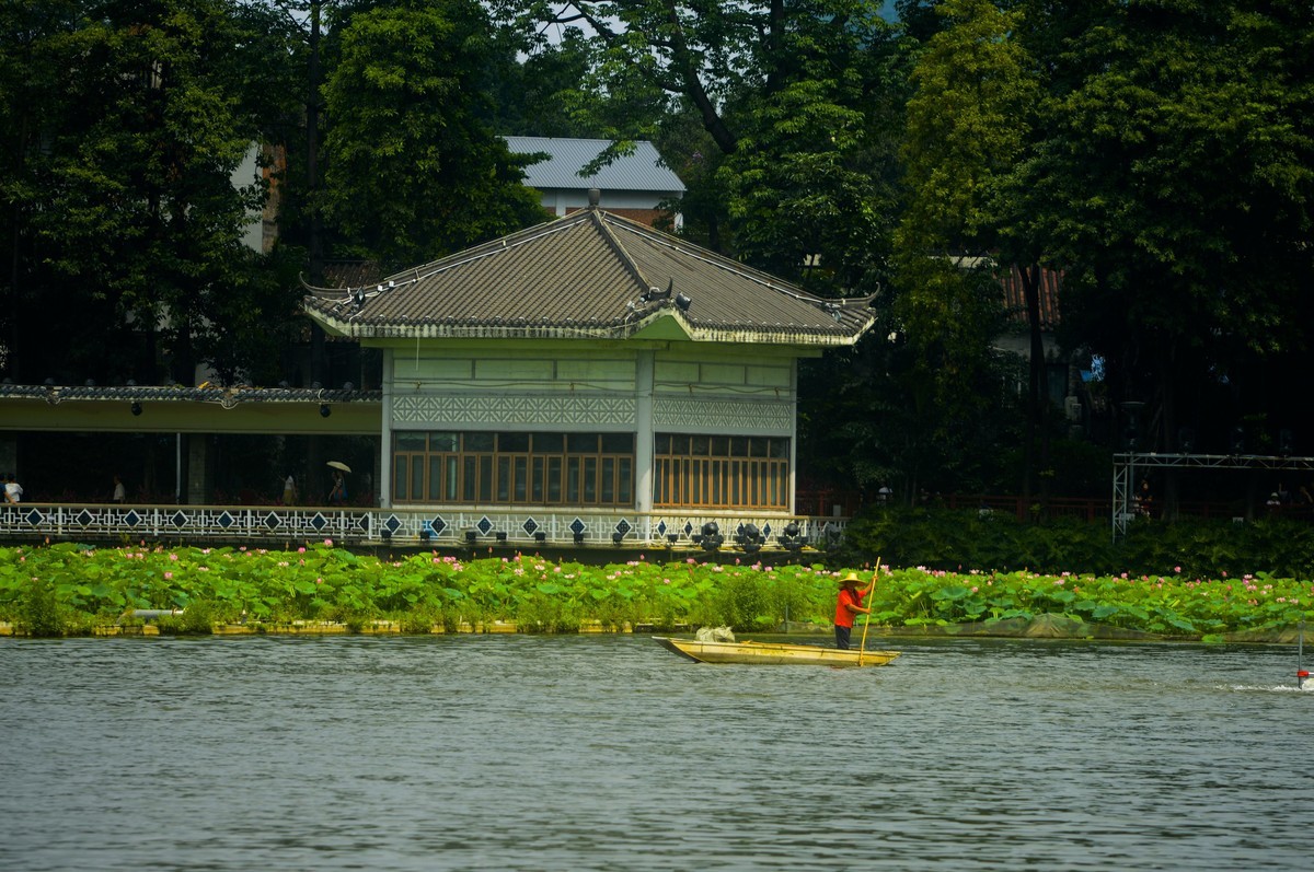 荷塘景色（二）