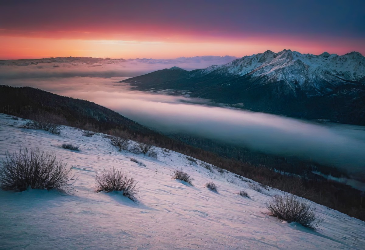 觅一份静谧时光