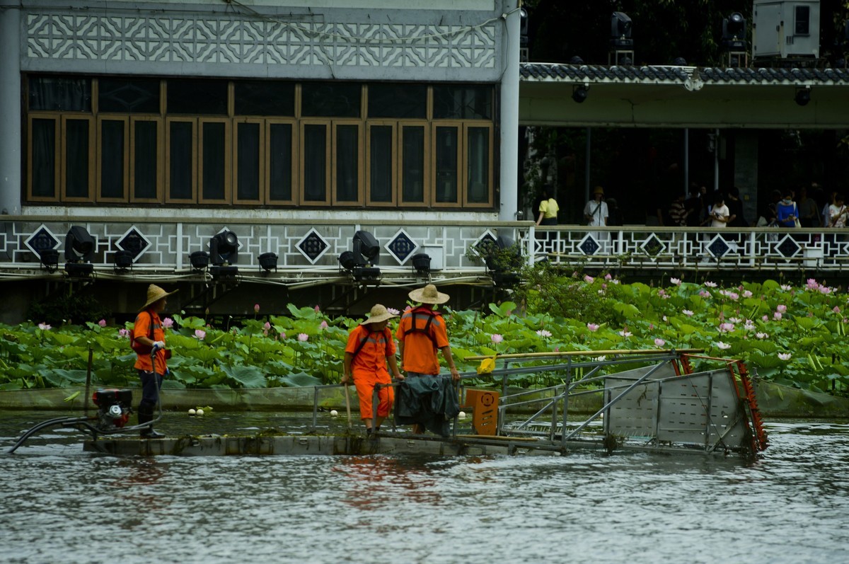 荷塘景色（二）