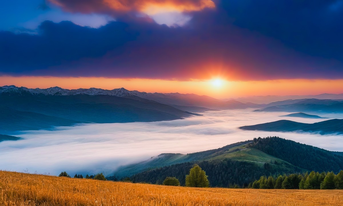 觅一份静谧时光